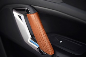 Peugeot 308 R HYbrid Concept Interior - Door panel detail