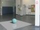 Interactive Mixed Reality Rendering in a Distributed Ray Tracing Framework